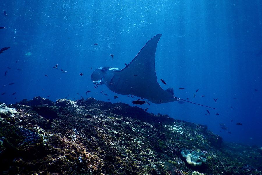 Ihavandhippolhu Atoll