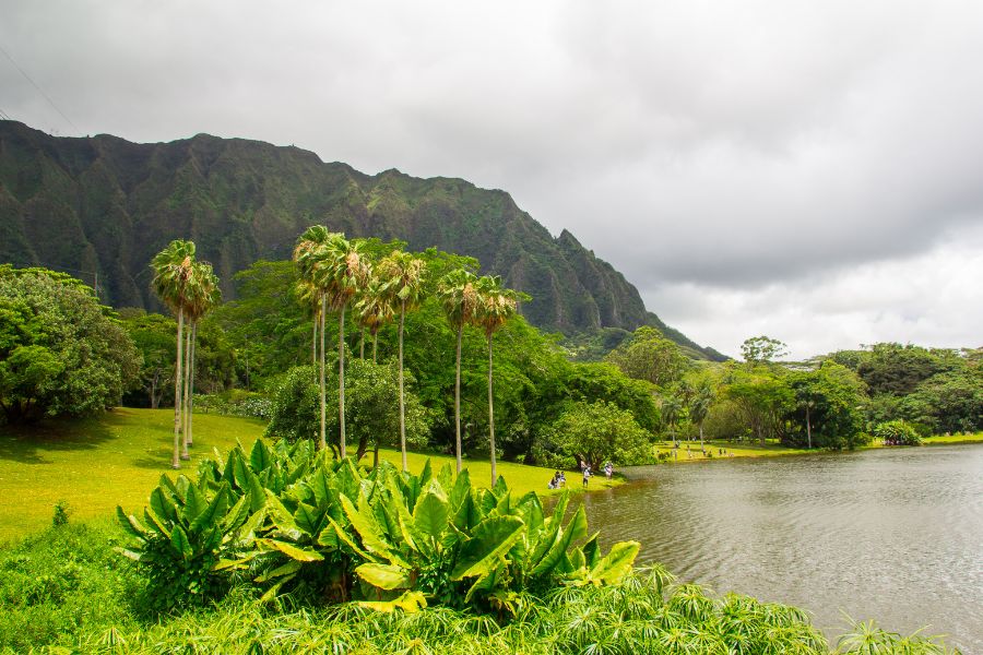 Ho’omaluhia Botanical Garden