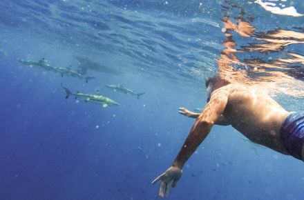 Polinezja Francuska oferta, Polinezja wycieczka, Polinezja wakacje