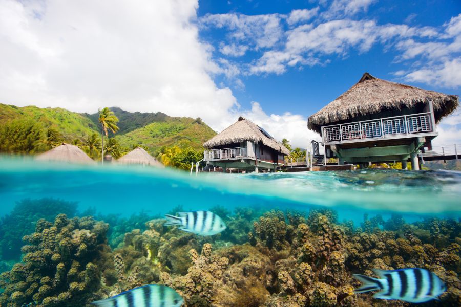 Moorea