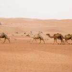 Arabia Saudyjska, Rub al Chai