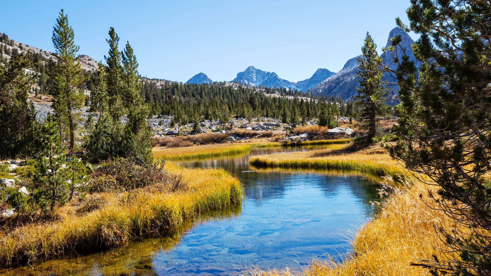 Kolumbia, Los Nevados