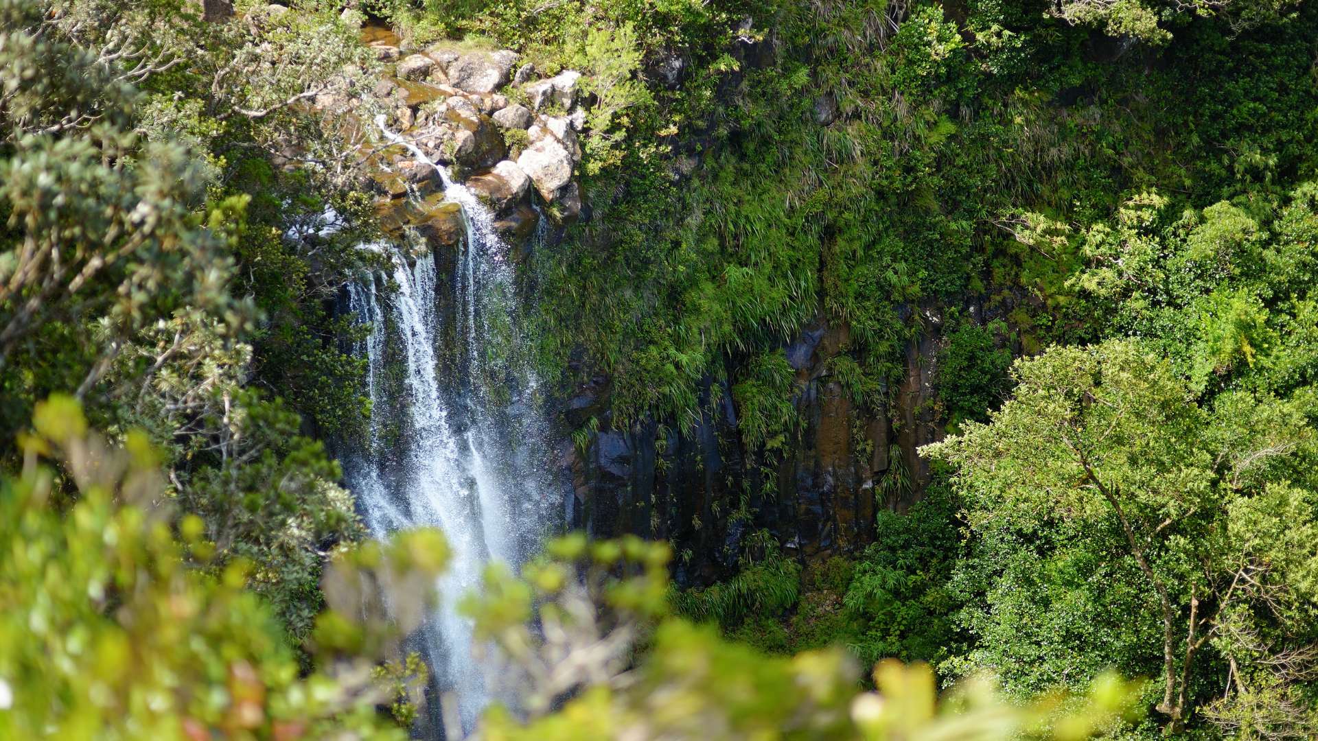 Mauritius, frederica nature reserve