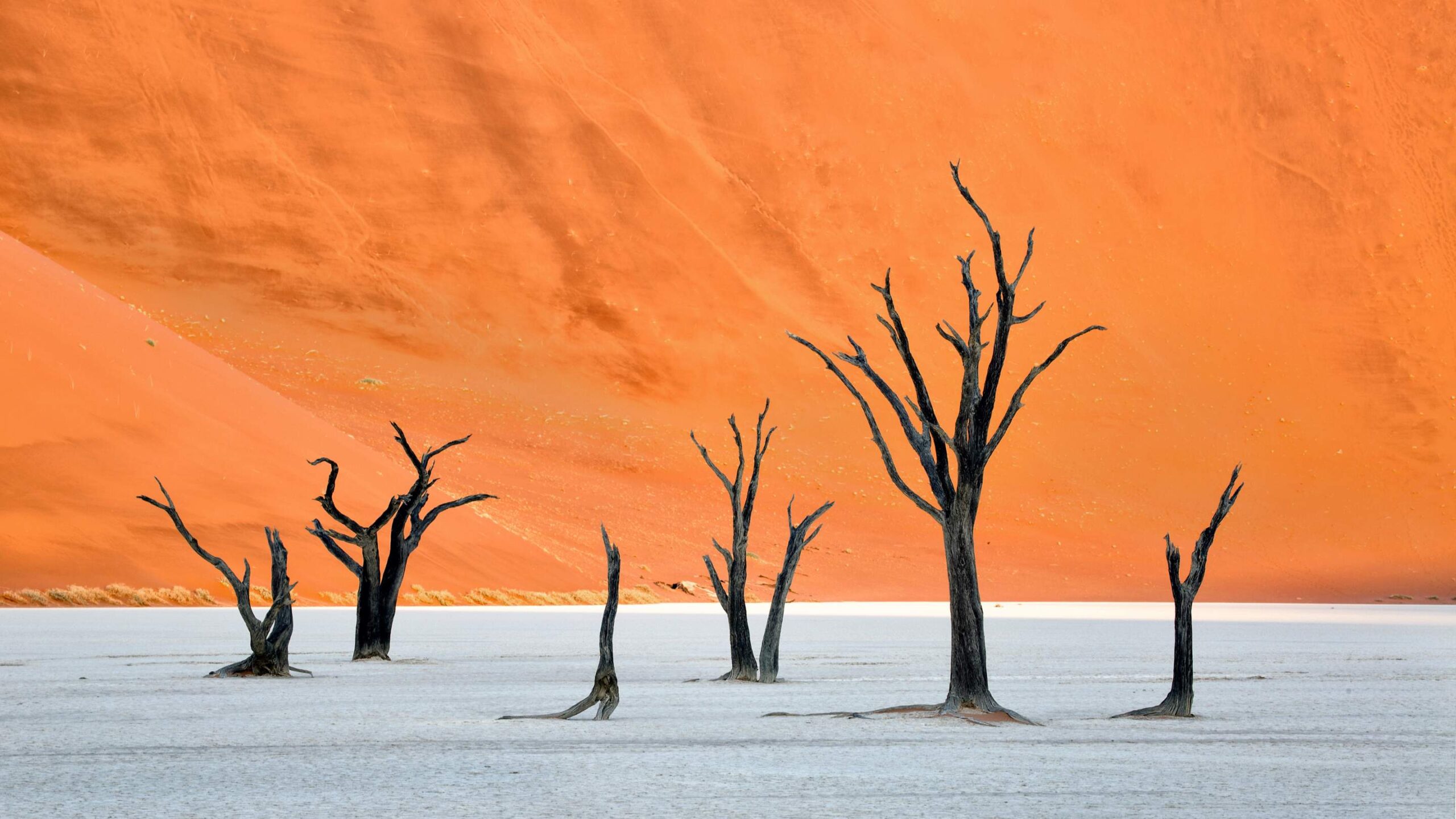 Namibia, Deadvlei