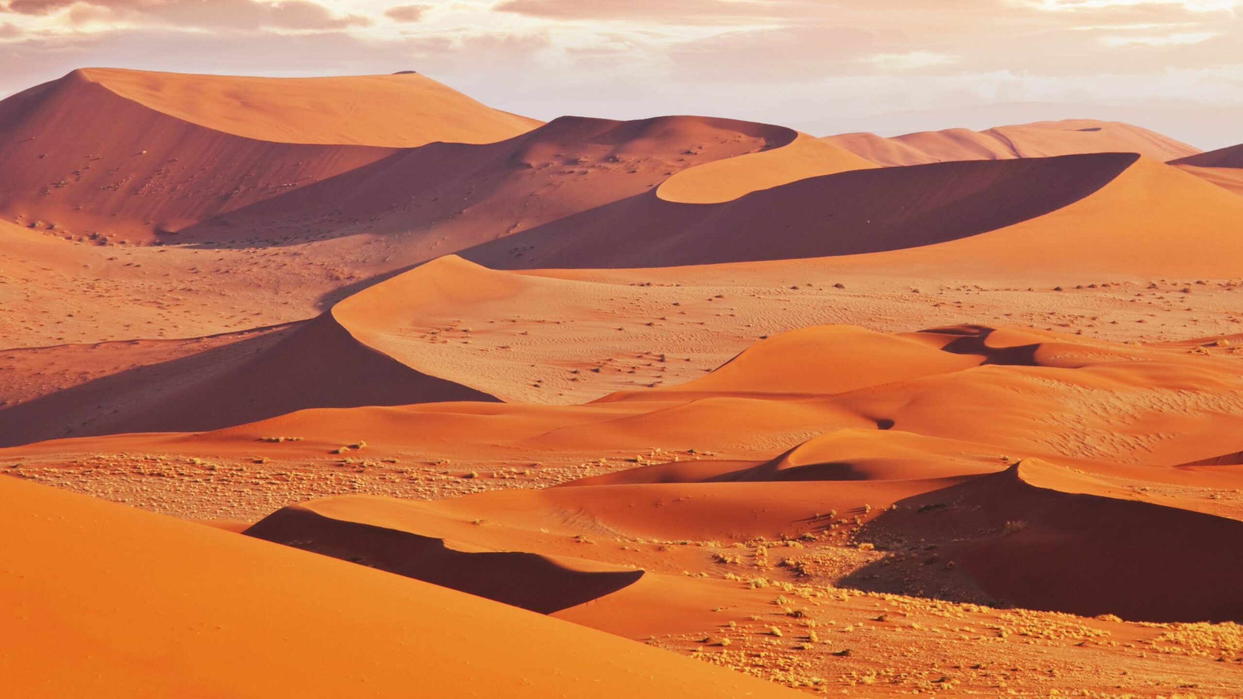 Namibia, Namib (2)