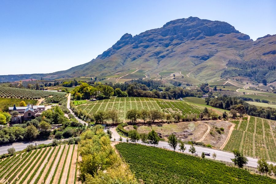 Stellenbosch