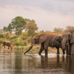 RPA, Park Narodowy Krugera