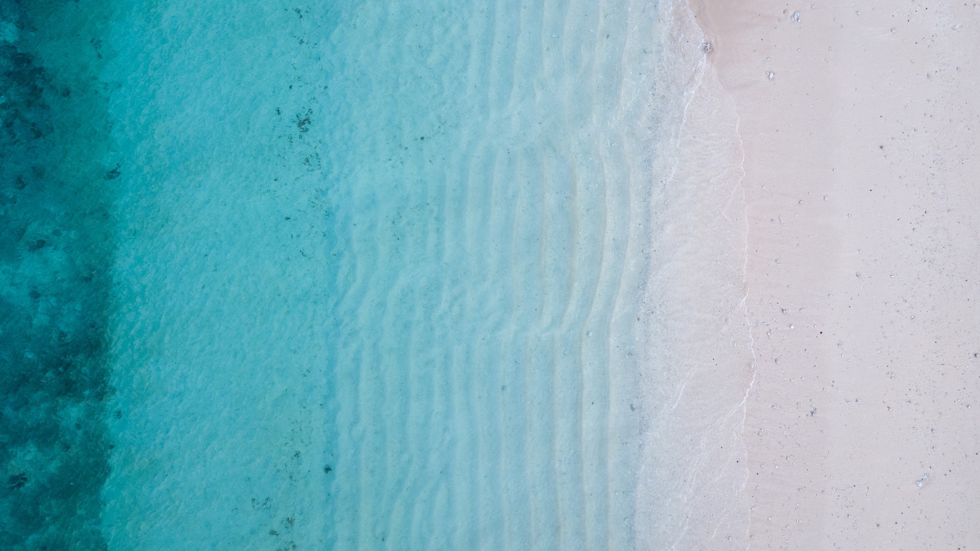 Fiji oferta, Fiji wycieczka, Fiji plaża