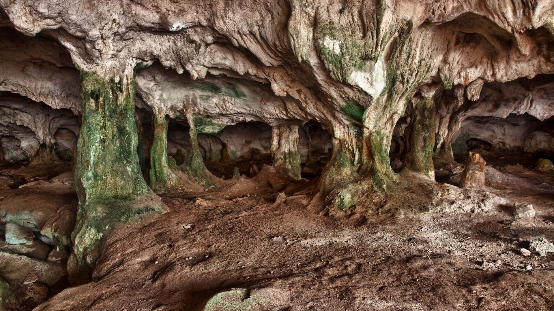 Turks i Caicos oferta, Turks i Caicos wycieczka, Turks i Caicos Conch Bar