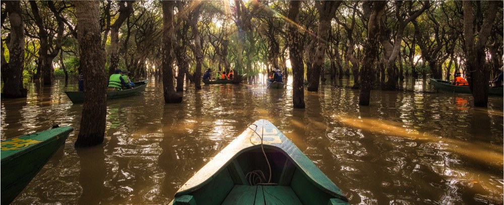 Wietnam, Delta Mekongu