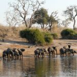 Botswana, Chobe