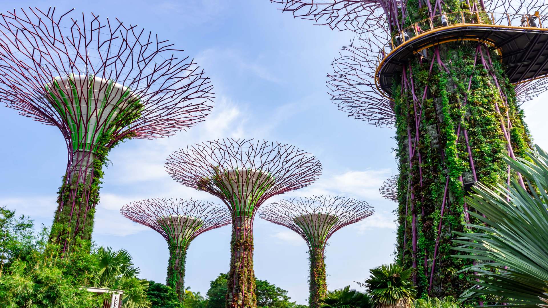 Singapur, Gardens by the bay