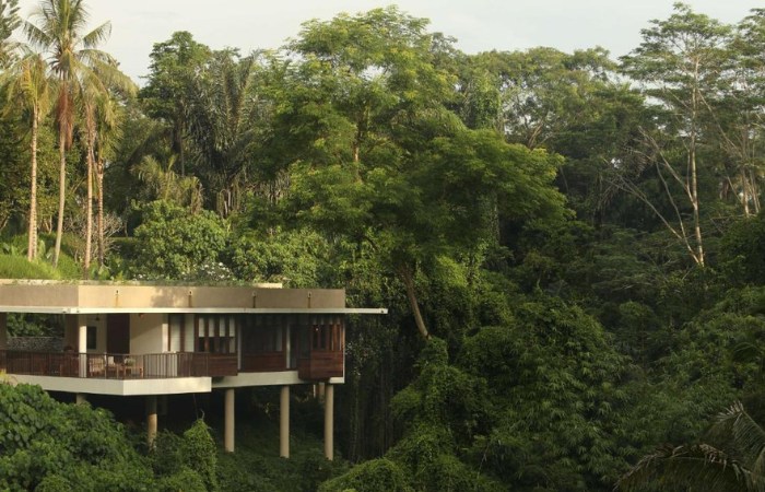 Bali oferta, Bali wycieczka, Bali Alila Ubud