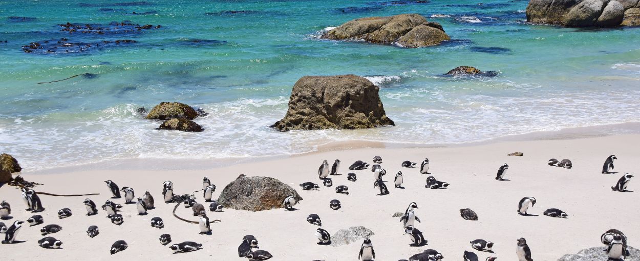 RPA oferta, RPA wycieczka, RPA plaża