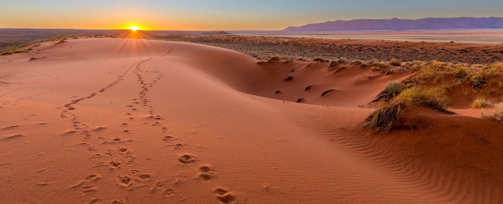 Namibia oferta, Namibia wycieczka, Namibia Kalhari