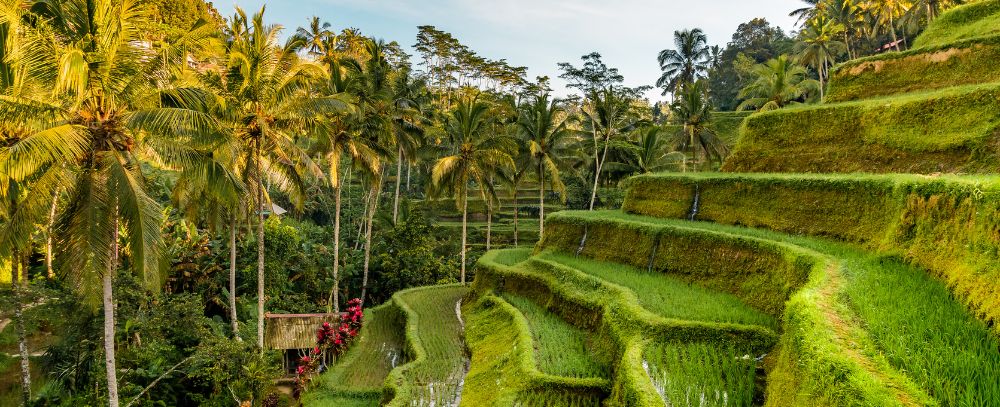 Indonezja oferta, Indonezja wakacje, Indonezja wycieczka