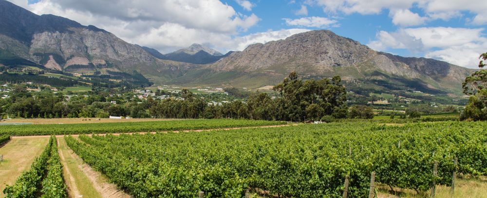 RPA oferta, RPA wycieczka, RPA wakacje