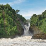 Murchison falls