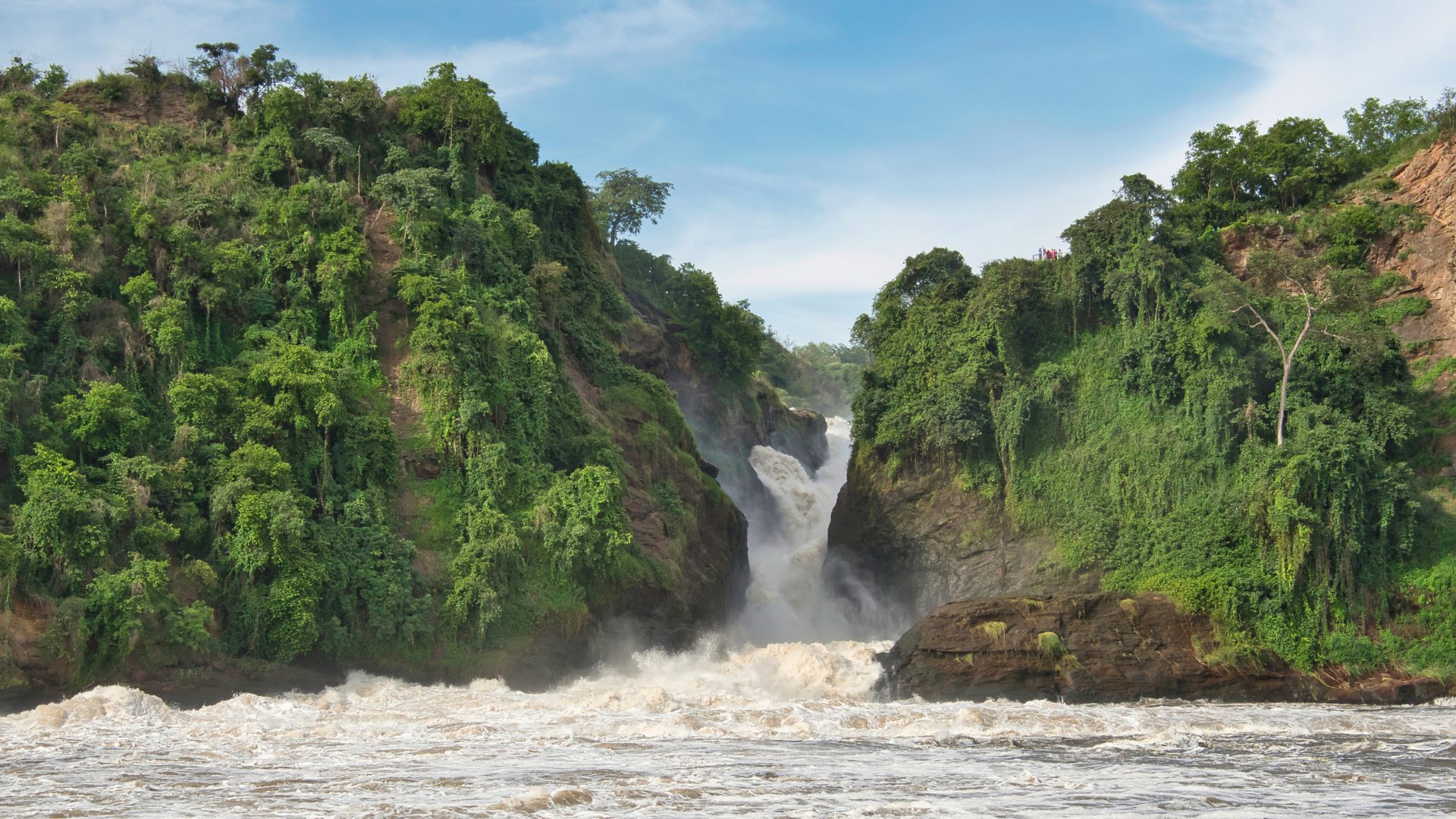 Murchison falls