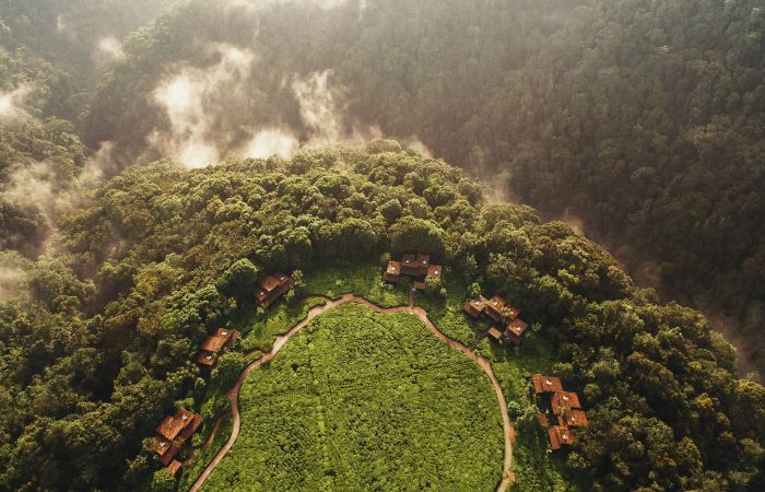 One&Only Nyungwe House, Nyungwe Forest Reserve