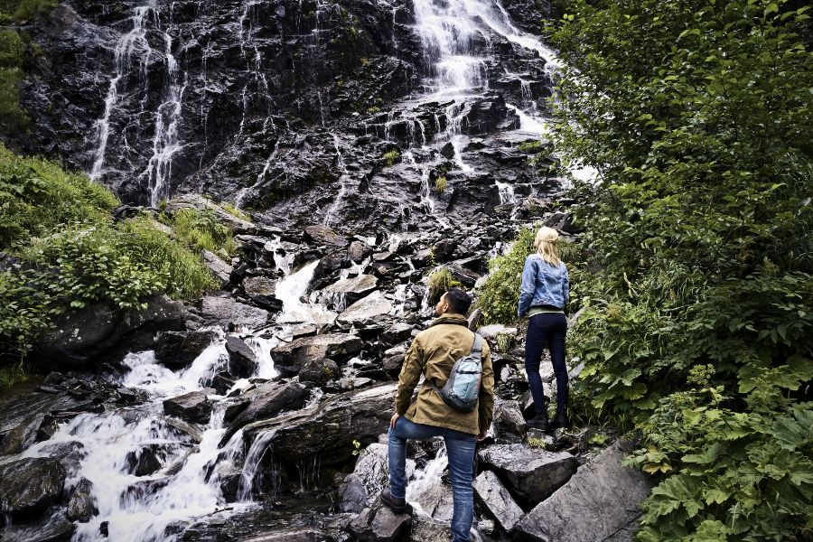 Alaska oferta, Alaska wycieczka, Alaska rejs