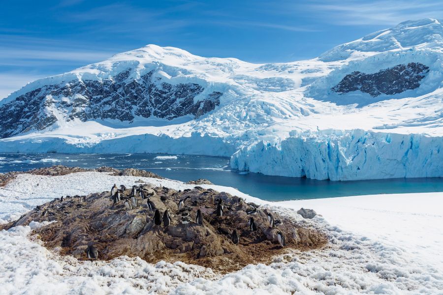 Antarktyda rejs, Antarktyda z polskim pilotem, Antarktyda 2026, wyjazd na Antarktydę, DreamGo Exclusive Travel, Quark Expeditions